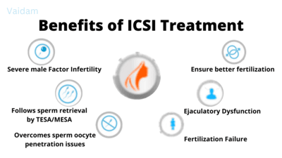 Benefícios da injeção intracitoplasmática de esperma.