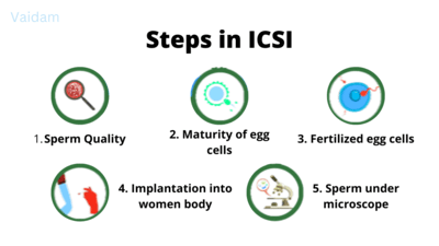 Этапы интрацитоплазматической инъекции спермы.